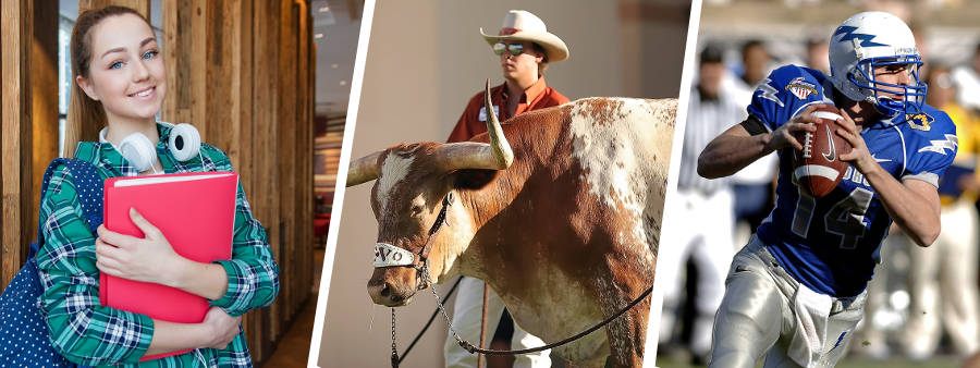 アメリカの高校留学を知ろう！費用・教育制度・留学の準備など、これでわかる。