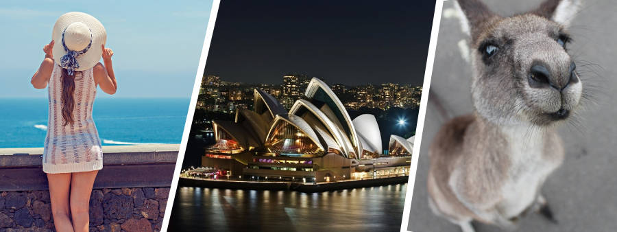 オーストラリアのワーキングホリデーについて、これですべてがわかる！