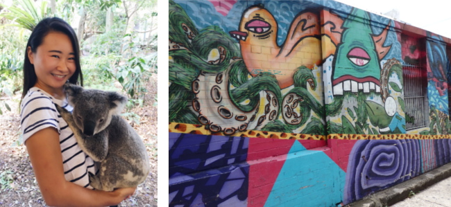 コアラとグラフィティ